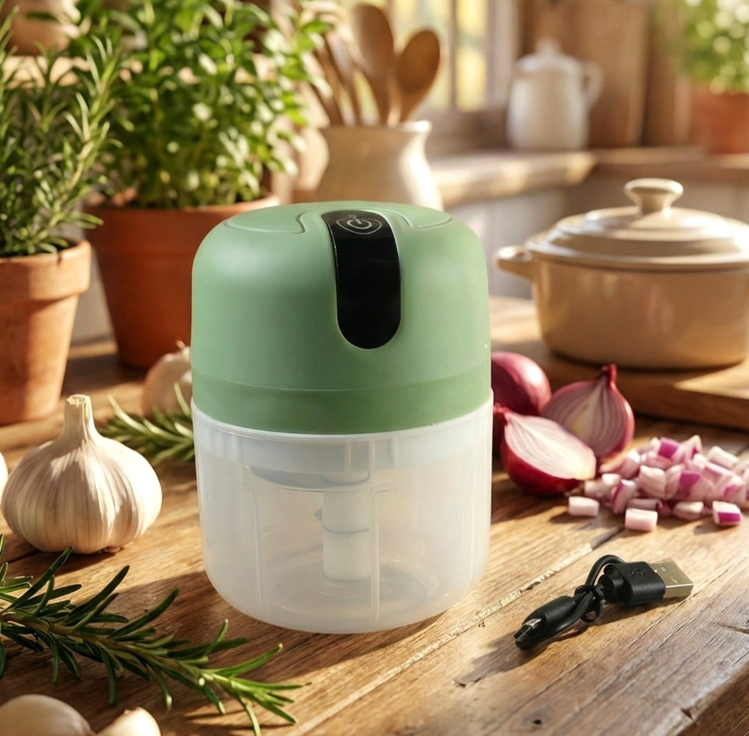 Choppy Mini Electric Food Processor & Vegetable Chopper,Garlic Chopper/Machine(250ML)